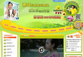 網站成功案例,互域東莞網絡公司專業東莞網站建設,東莞網站設計