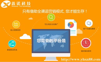 鑫諾科技 網站建設及推廣,價格實惠